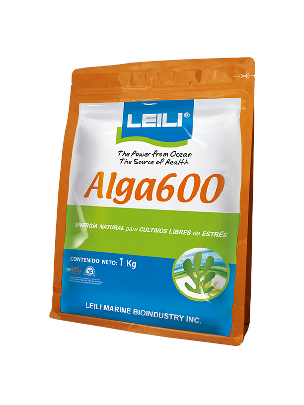 alga600_1_pro