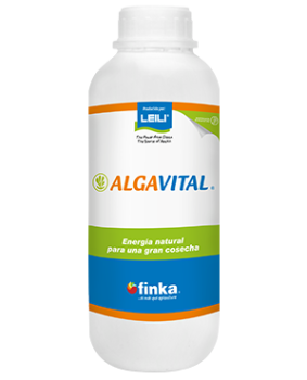 algavital-1l-2025