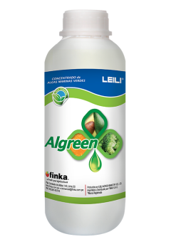 algreen_1L