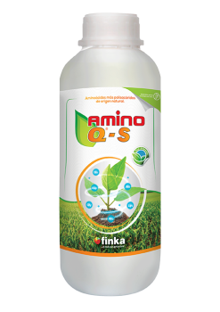 amino-q-s_1L