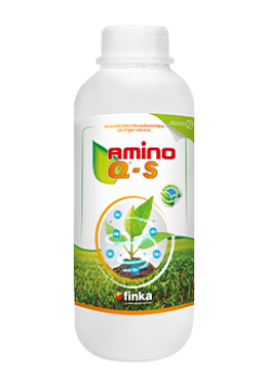 amino-q-s_1L_0