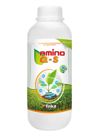 amino-q-s_1L_0