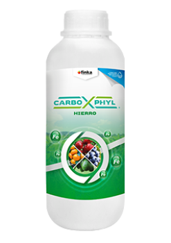 carboxphyl-hierro-1l-0