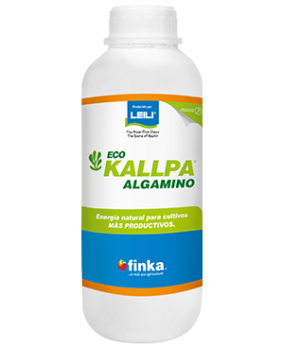 ecokallpa-algamino-1l-2025