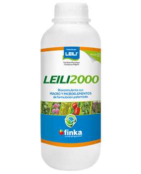 leili2000-1l-2025