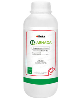 q-arnada-1l