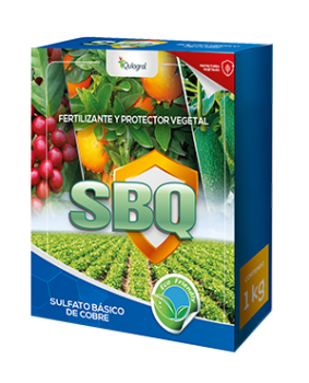 sbq-1kg