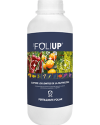 tim-foliup-1l-0